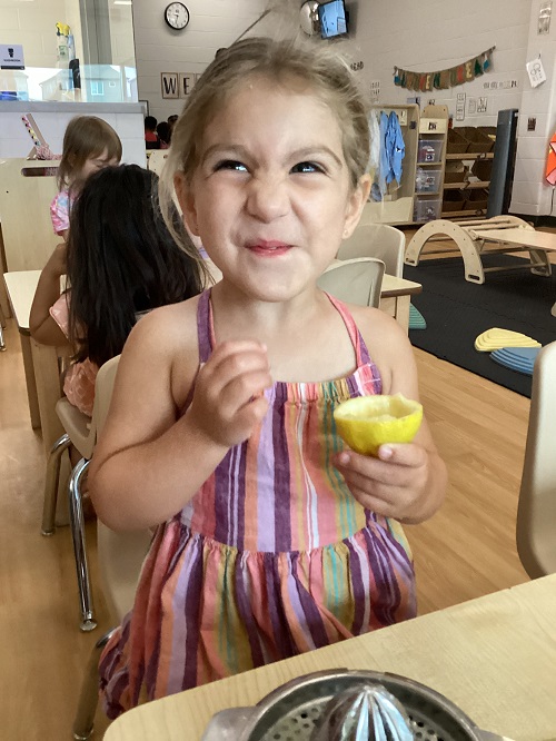 A child taste testing a lemon.