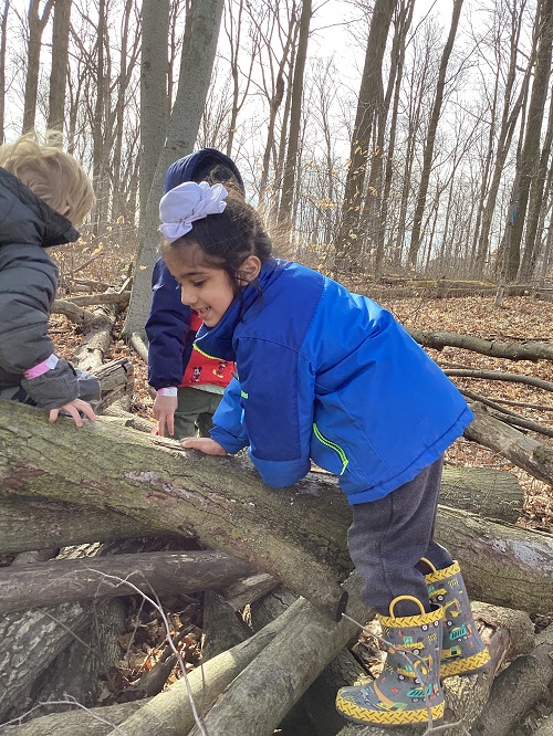 A small group of children climbing on logs in the forest.