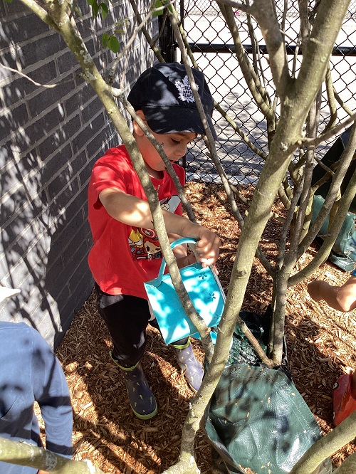 A child watering a tree with a watering can