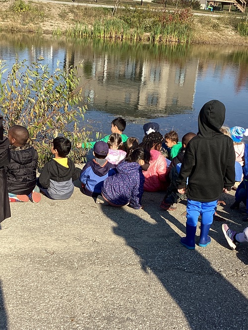 A group of children sitting in front of a pond they are observing.