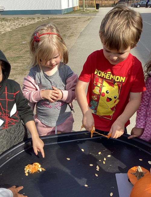 Children standing at a tuff tray exploring pumpkin seeds.