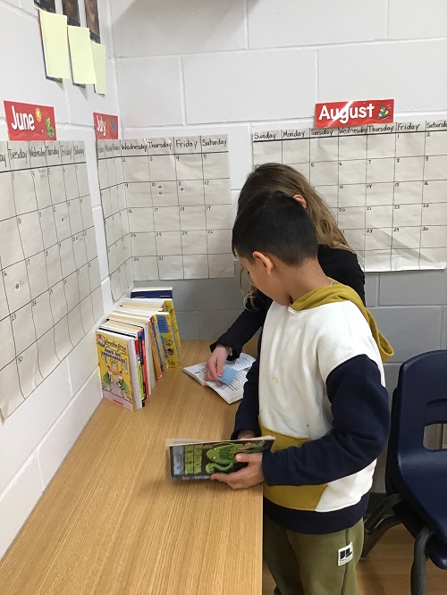 Two children looking at the selection of books available.