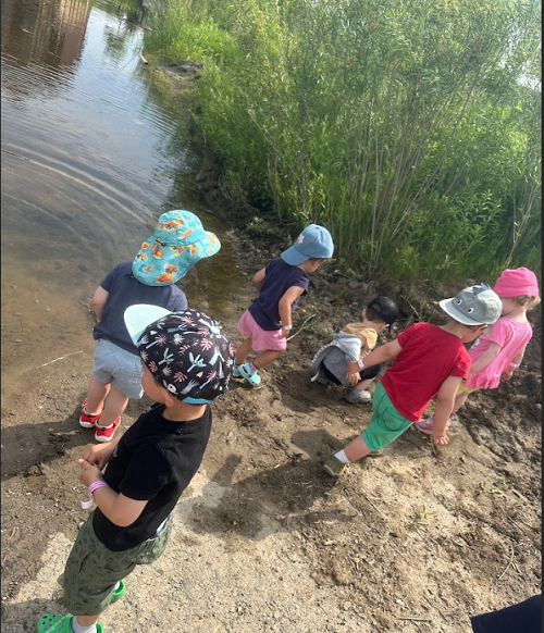 A small group of children looking for frogs