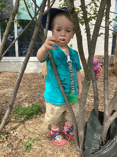 A child investigating a natural item from the playground