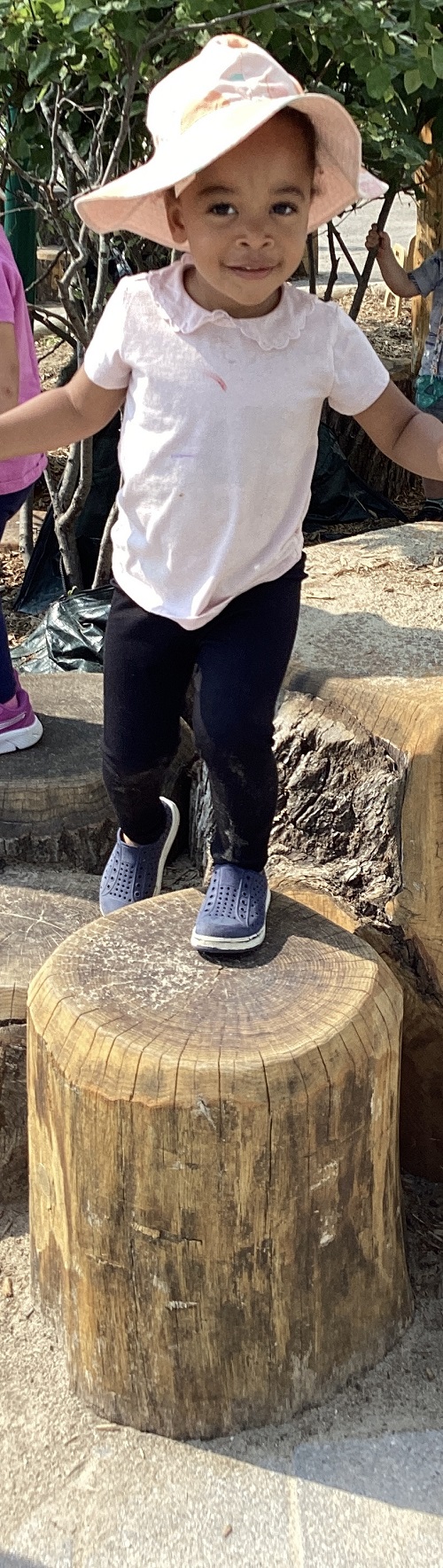 A child standing on a playground stump.