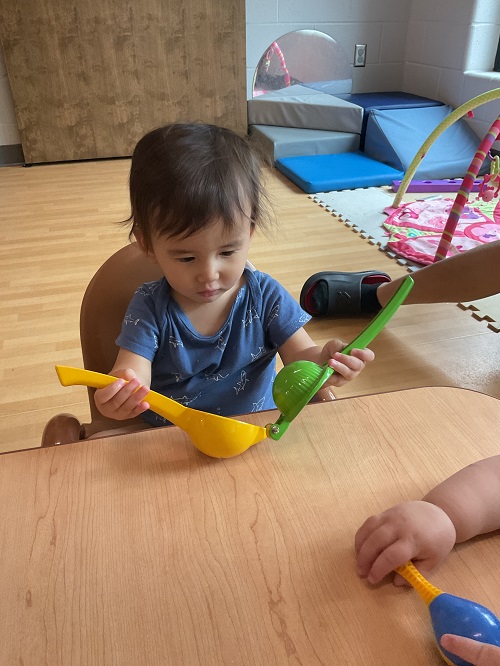 exploring lemon squeezer