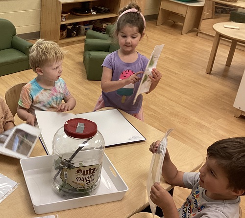 Children talking about butterflies