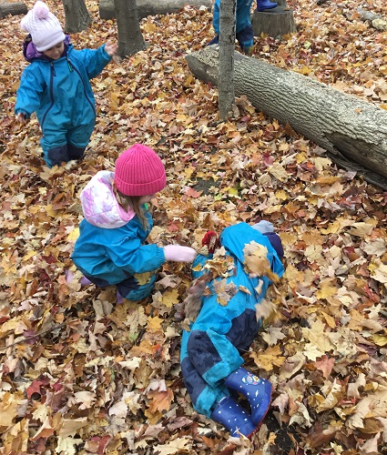 Children playing in the leaves