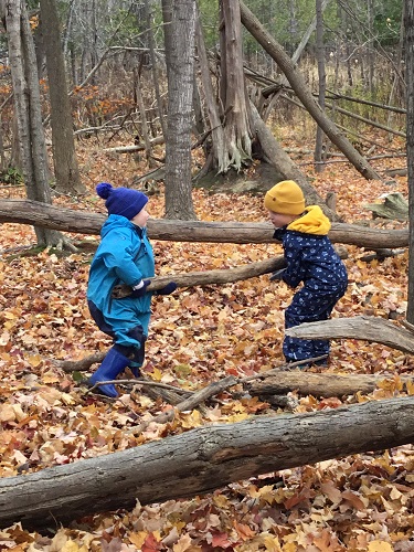 Two children carrying a large branch