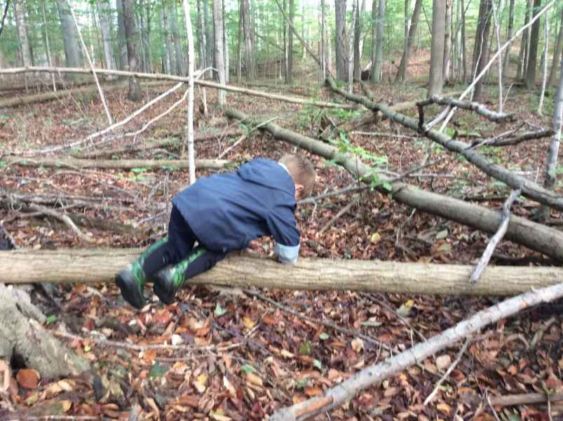boy climing over a log