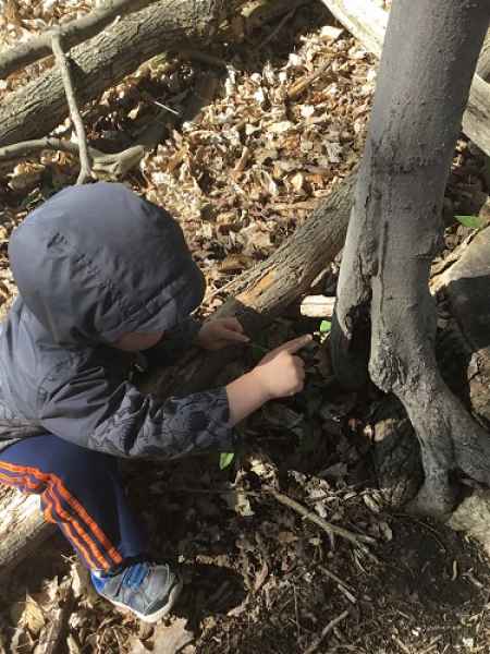 boy pointing to something he sees on a tree