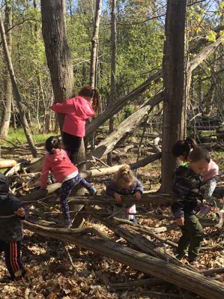 children climbing on logs in a forest