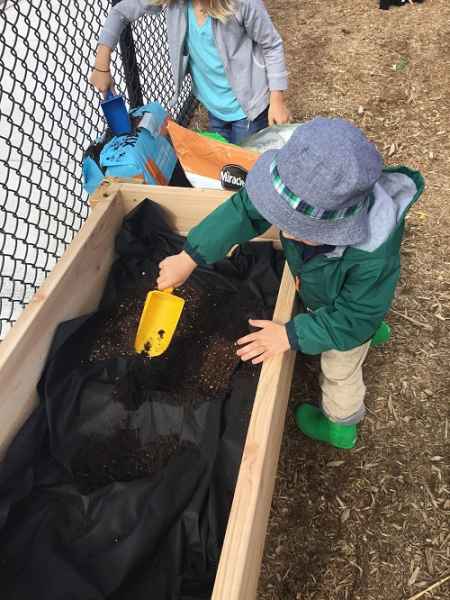 preschoolers planting a garden