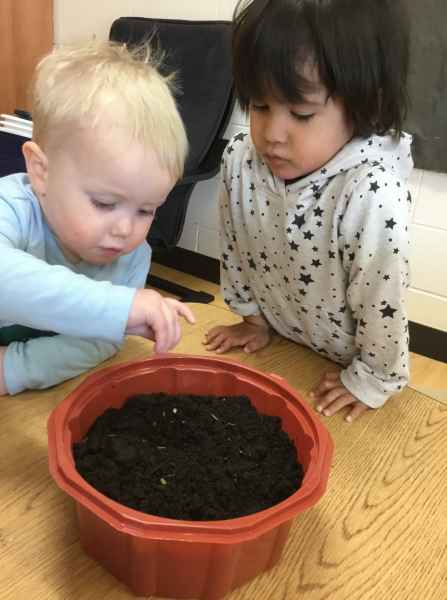children planting seeds