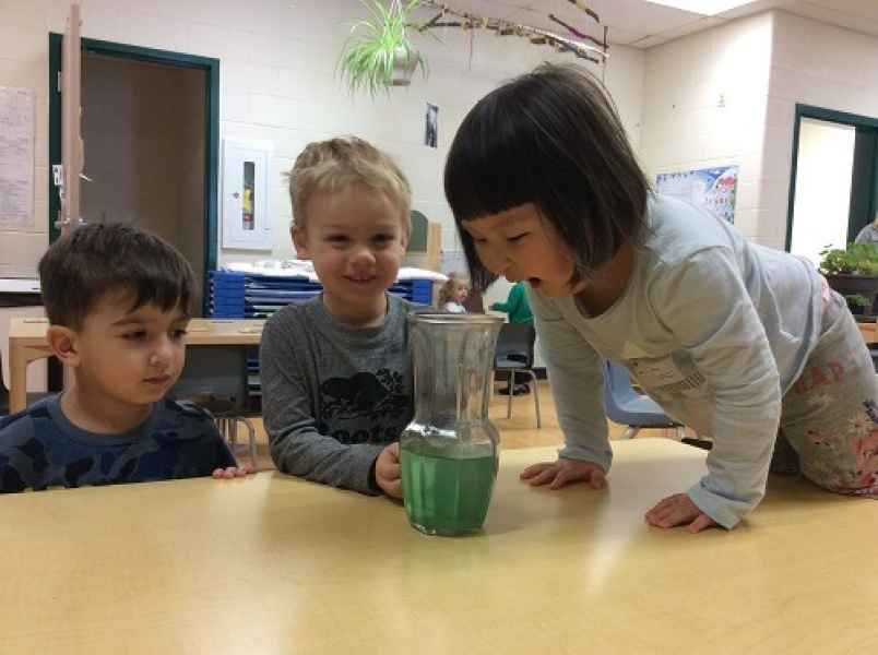 surprised children looking a green water in a vase