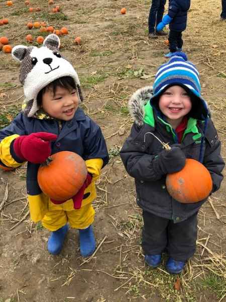 preschool boys holding pumpkins in the field