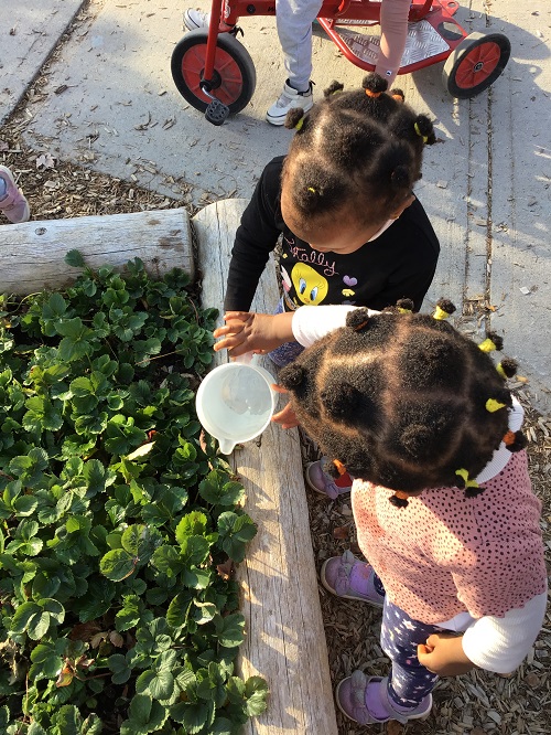 twins at garden