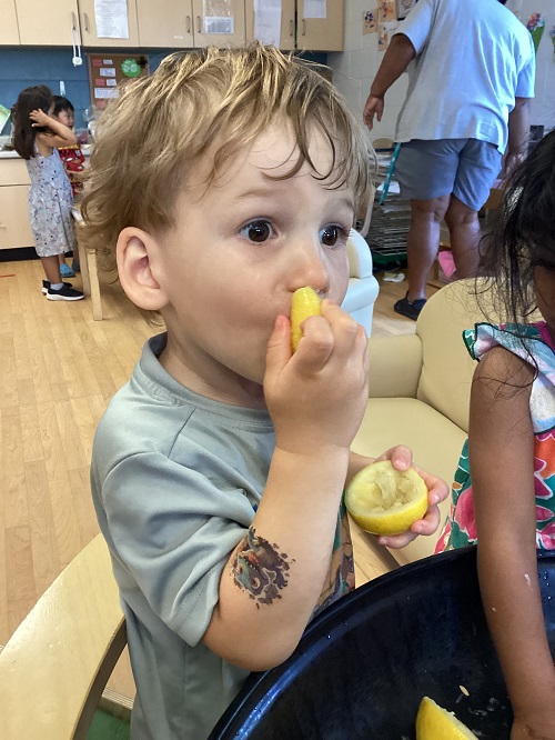child eating a lemon