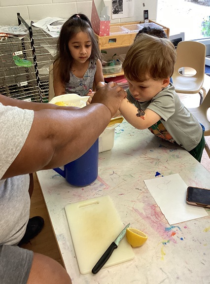 children making lemonade, squeezing the lemon juicer