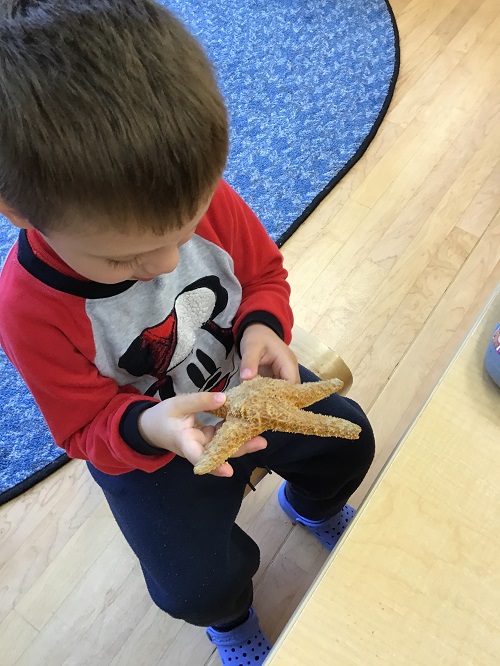 child with sea star