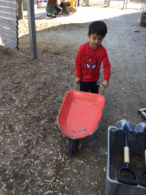 child with wheelbarrow