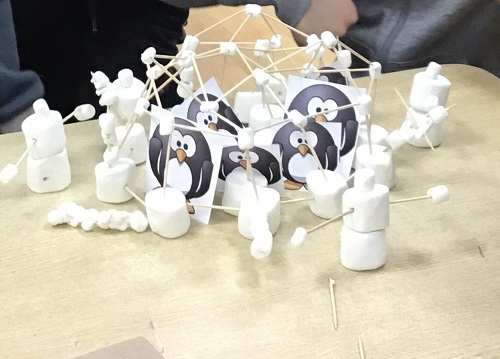 Marshmallow habitat for penguins