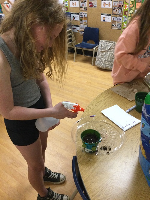 child watering plant