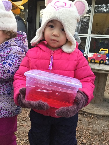 A preschool girs holding a container containing water with food colouring.