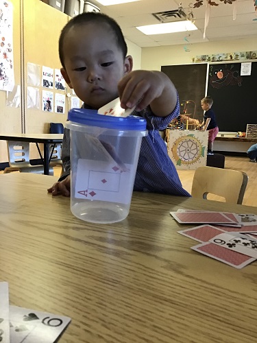 Toddler puts cards into a cup