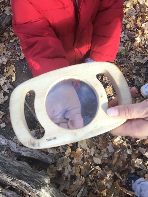 observing an insect through a magnifying glass