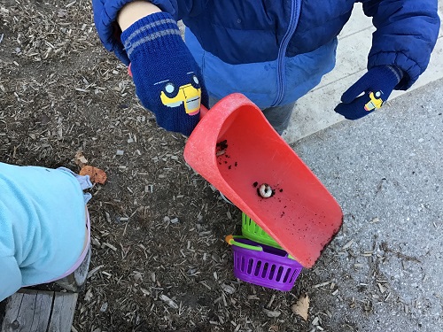 child holding a bug in a shovel