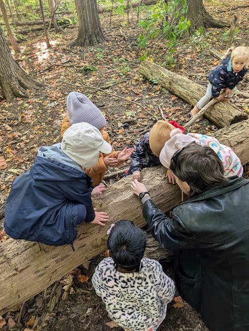 children looking under a log in the forest