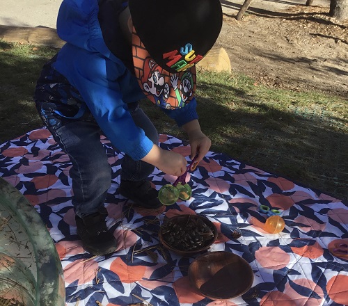 Children exploring nature outside