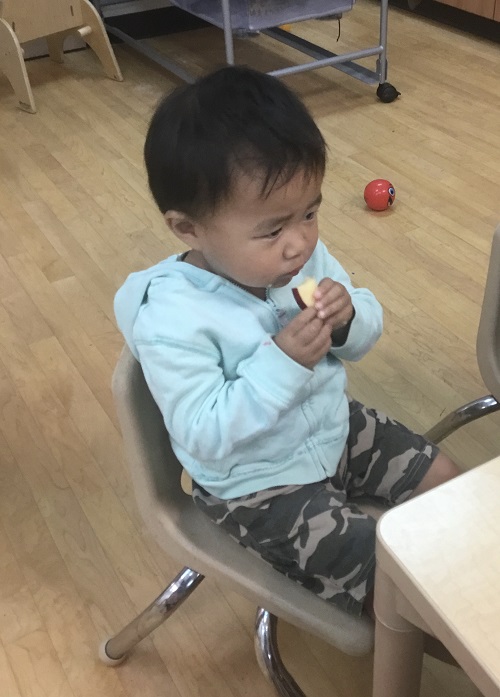 Child holding apple in their hand