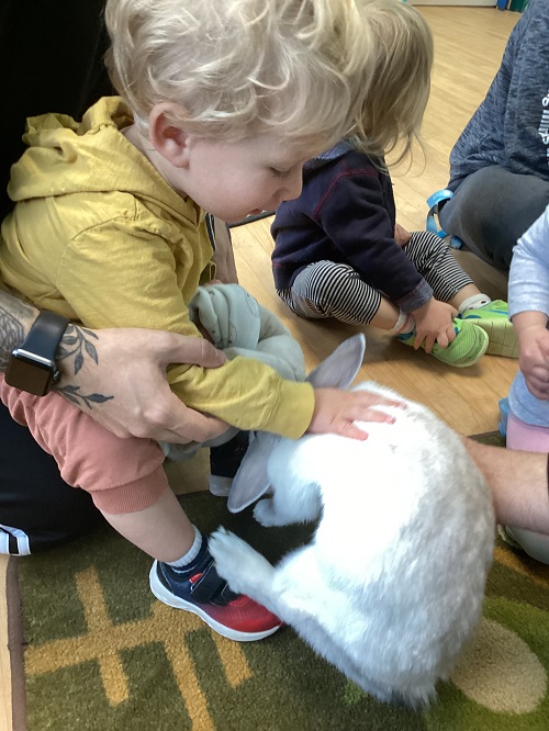 child petting a bunny