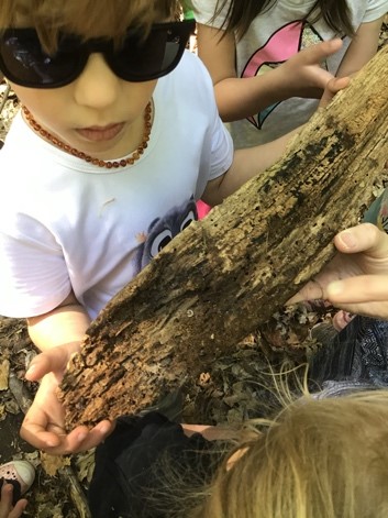 Child holding a small log