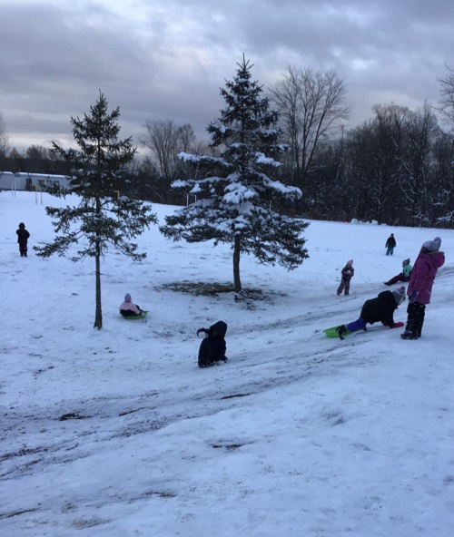 Children going up the hill and sliding down on their sled. 