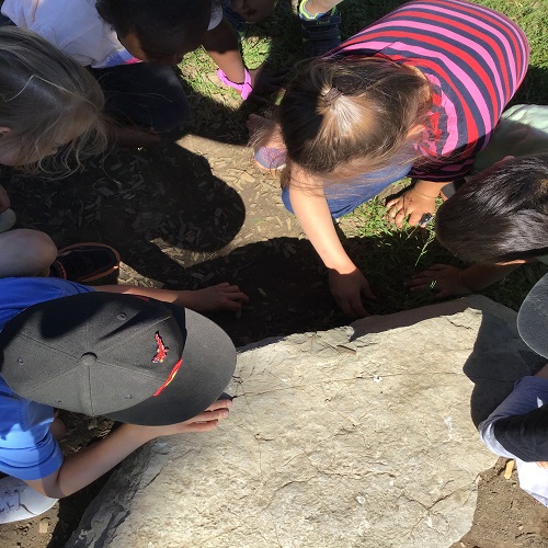 Children looking for bugs together