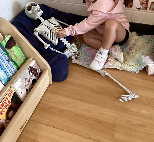 A preschool child caring for a skeleton in the book centre