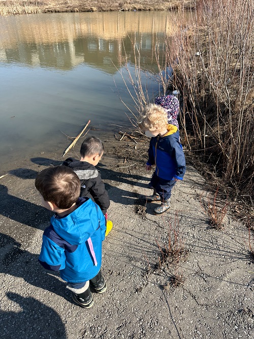 A small group of children observing the pond.