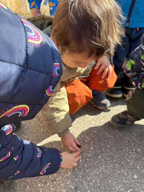 A small group of children observing a caterpillar on the path.