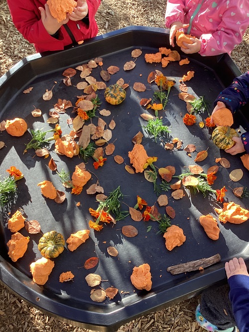 A tuff tray with orange playdough, leaves, marigolds, small pumpkins and sticks