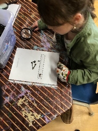 School age child using a magnifying glass to take a closer look at a worm and measuring its length 