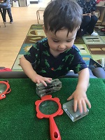 toddler child taking a closer look at insects inside acrylic blocks.  Red Magnifying glass near by 