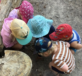 group of toddlers looking down on the ground for the insect that fell  off a peers hat