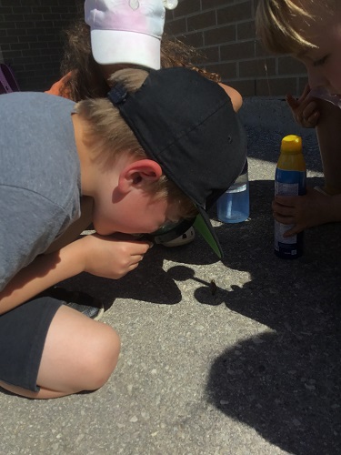 school age child looking at a caterpillar through a magnifying glass while sitting on the ground 