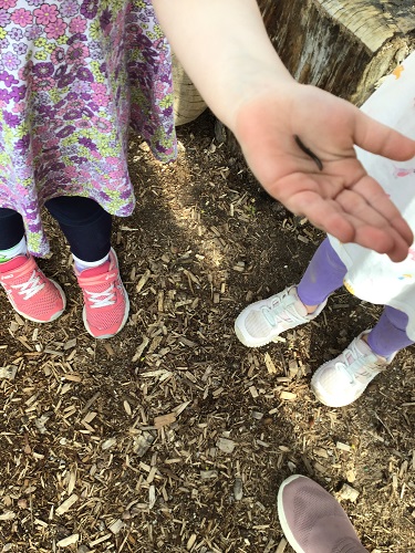 a small worm on display in a preschool child's hand 