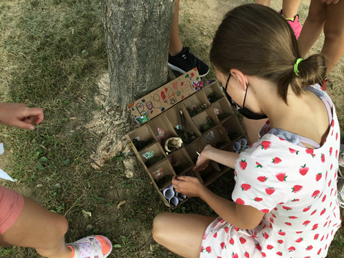 kids looking their bug habitat