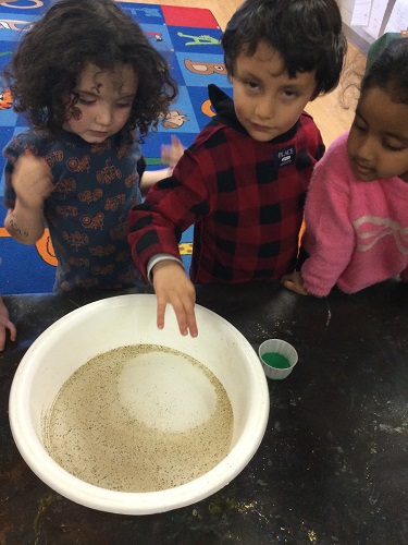 Children using dish soap to make pepper move away from their fingers