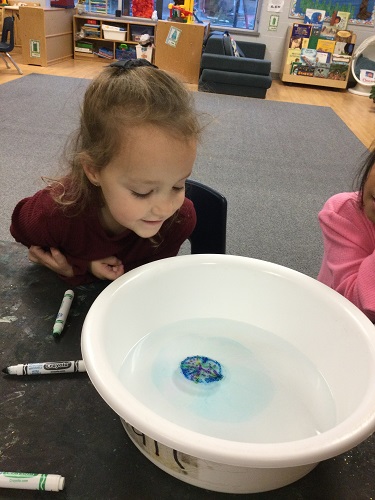 A child looking into the bucket to see the colours spread in the water